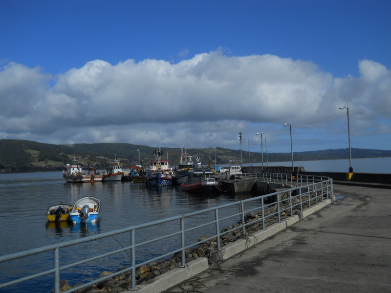 Foto: Ancud - Ancud (Los Lagos), Chile