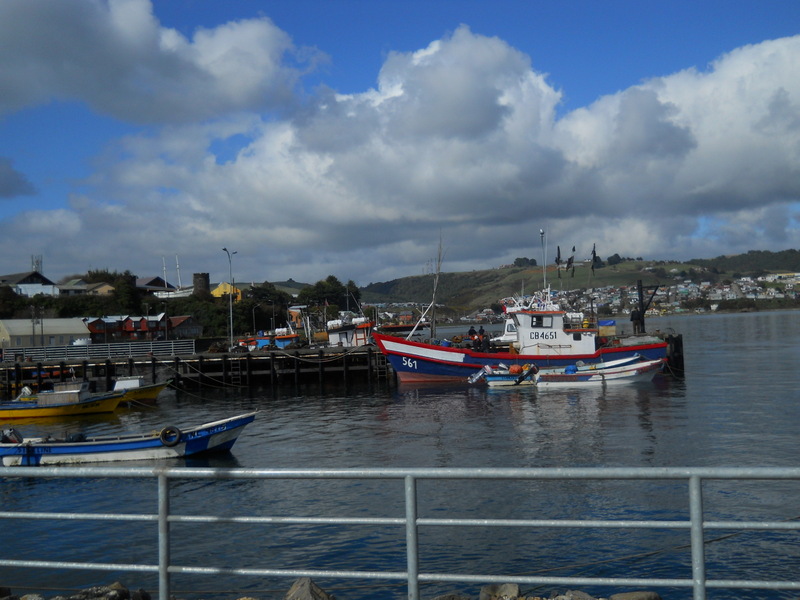 Foto: Ancud - Ancud (Los Lagos), Chile