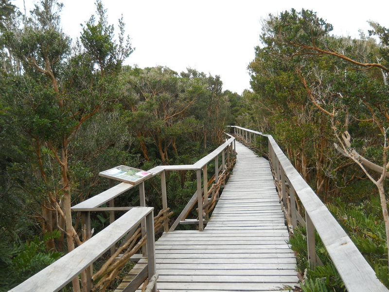 Foto: parque nacional chiloe - Cucao (Los Lagos), Chile