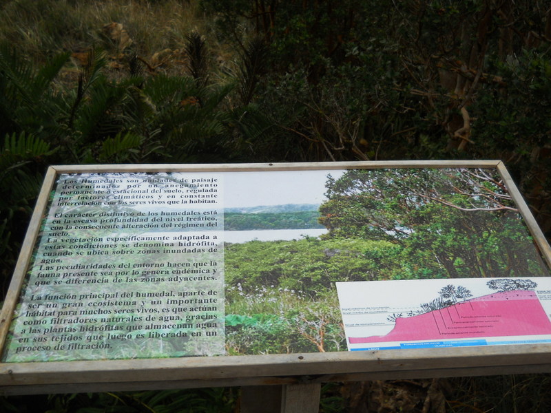 Foto: Parque Nacional Chiloe - Cucao (Los Lagos), Chile