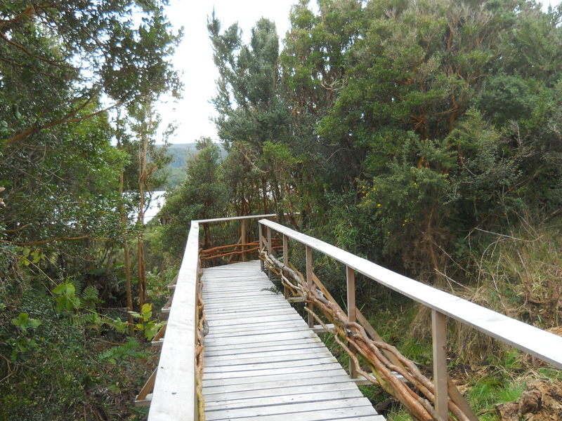 Foto: Parque Nacional Chiloe - Cucao (Los Lagos), Chile