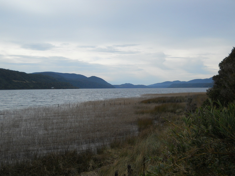 Foto: Parque Nacional Chiloe - Cucao (Los Lagos), Chile