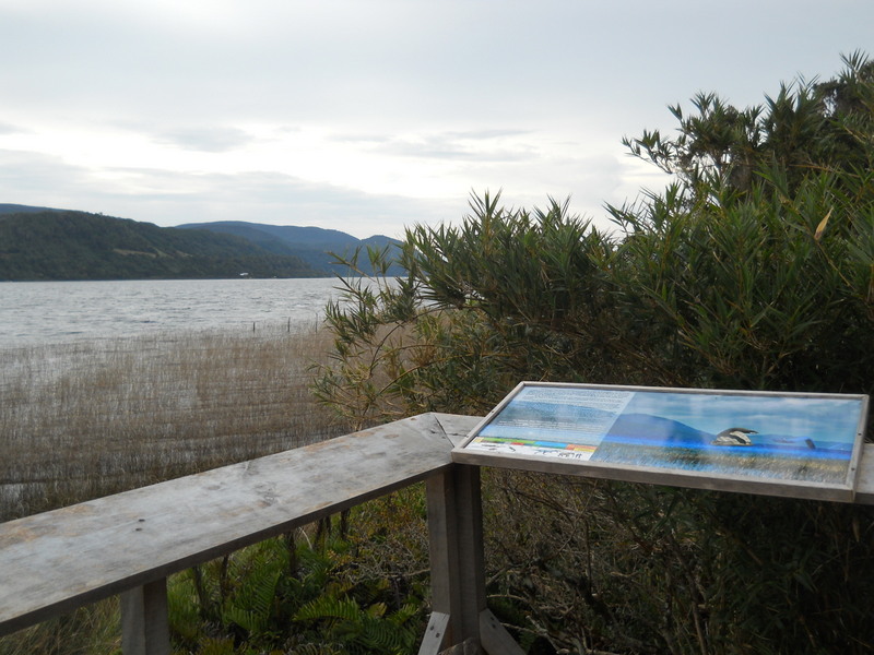 Foto: Parque Nacional Chiloe - Cucao (Los Lagos), Chile