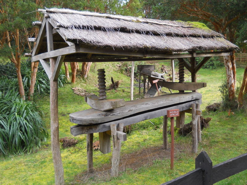 Foto: Parque Nacional Chiloe - Cucao (Los Lagos), Chile