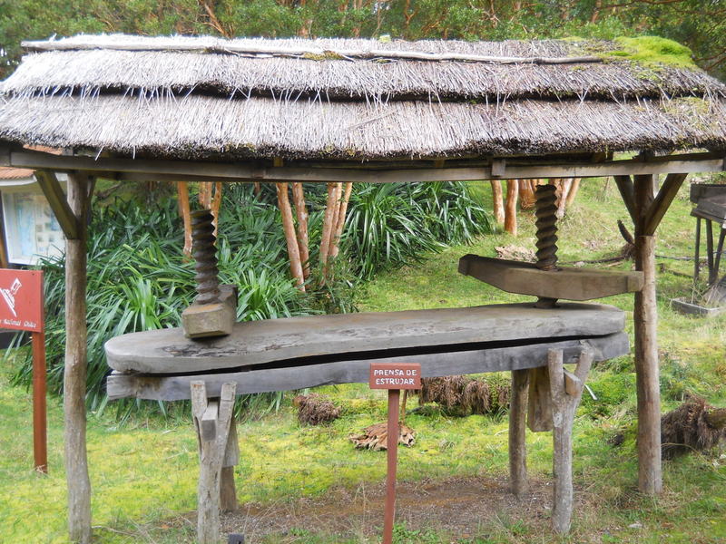 Foto: Parque Nacional Chiloe - Cucao (Los Lagos), Chile