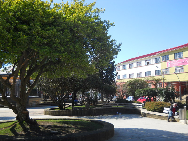 Foto: Ancud - Ancud (Los Lagos), Chile