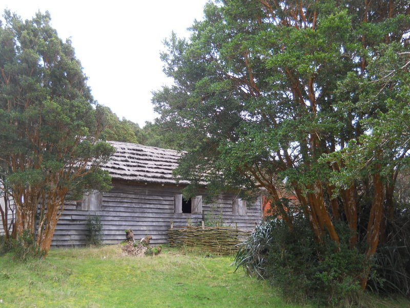 Foto: Parque Nacional Chiloe - Cucao (Los Lagos), Chile