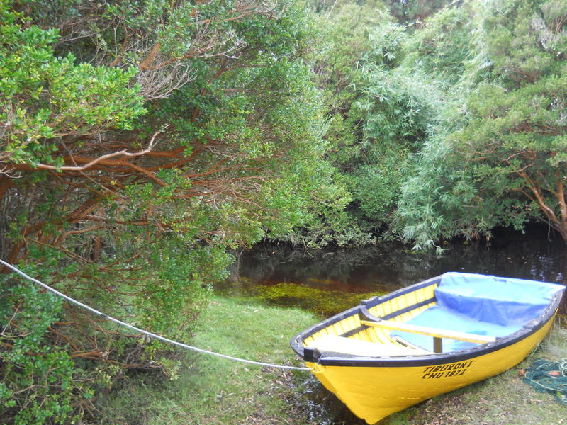 Foto: Parque Nacional Chiloe - Cucao (Los Lagos), Chile