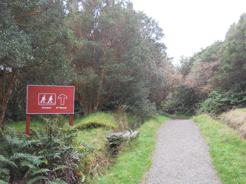 Foto: Parque Nacional Chiloe - Cucao (Los Lagos), Chile