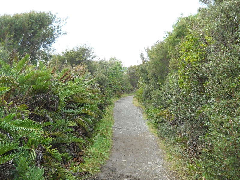 Foto: Parque Nacional Chiloe - Cucao (Los Lagos), Chile