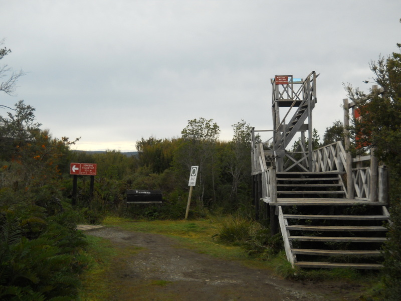 Foto: Parque Nacional Chiloe - Cucao (Los Lagos), Chile