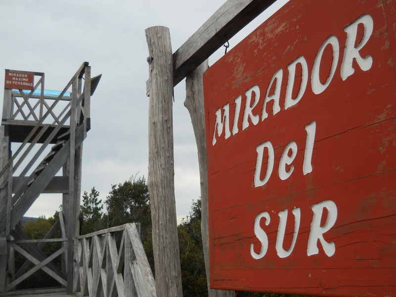 Foto: Parque Nacional Chiloe - Cucao (Los Lagos), Chile