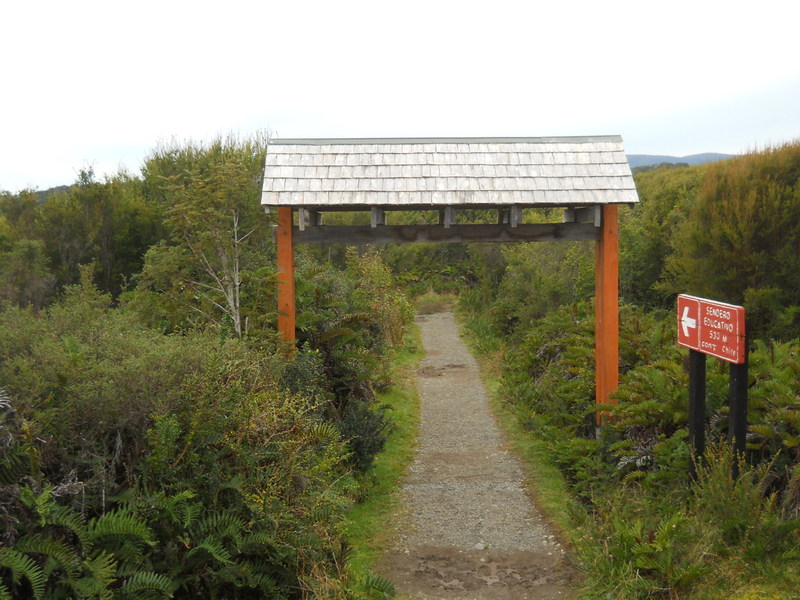 Foto: Parque Nacional Chiloe - Cucao (Los Lagos), Chile