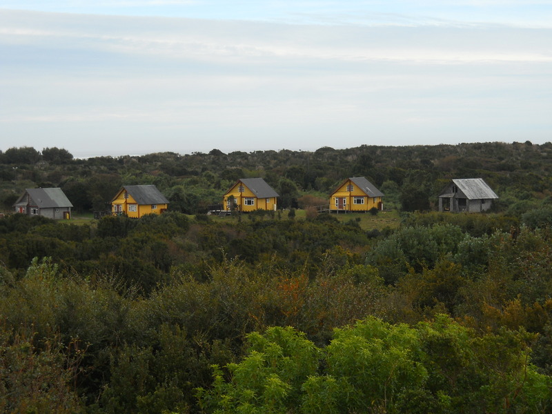 Foto: Parque Nacional Chiloe - Cucao (Los Lagos), Chile