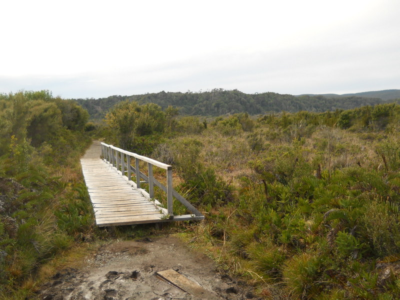 Foto: Parque Nacional Chiloe - Cucao (Los Lagos), Chile