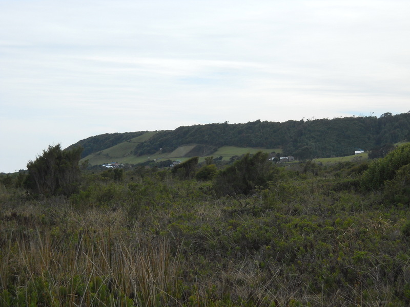 Foto: Parque Nacional Chiloe - Cucao (Los Lagos), Chile