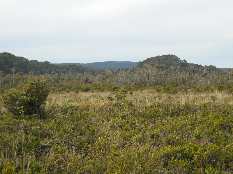 Foto: Parque Nacional Chiloe - Cucao (Los Lagos), Chile