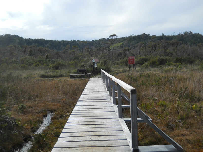 Foto: Parque Nacional Chiloe - Cucao (Los Lagos), Chile