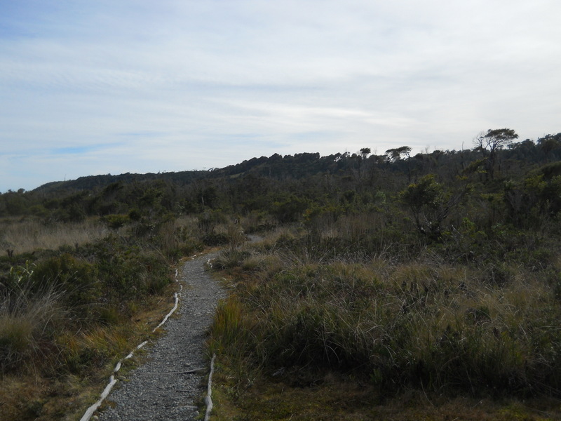 Foto: Parque Nacional Chiloe - Cucao (Los Lagos), Chile