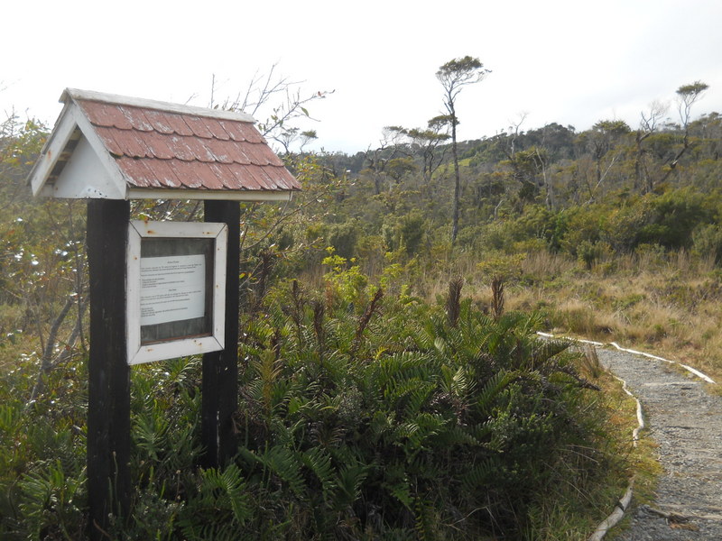 Foto: Parque Nacional Chiloe - Cucao (Los Lagos), Chile