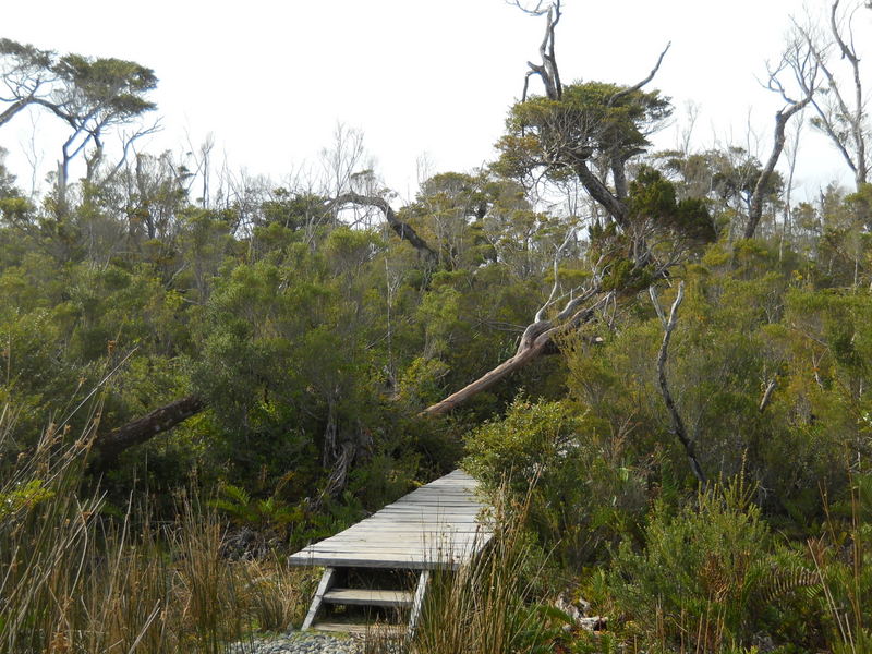 Foto: Parque Nacional Chiloe - Cucao (Los Lagos), Chile