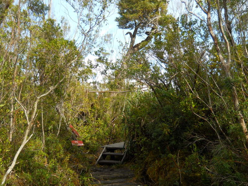 Foto: Parque Nacional Chiloe - Cucao (Los Lagos), Chile