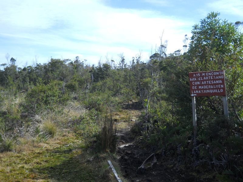 Foto: Parque Nacional Chiloe - Cucao (Los Lagos), Chile