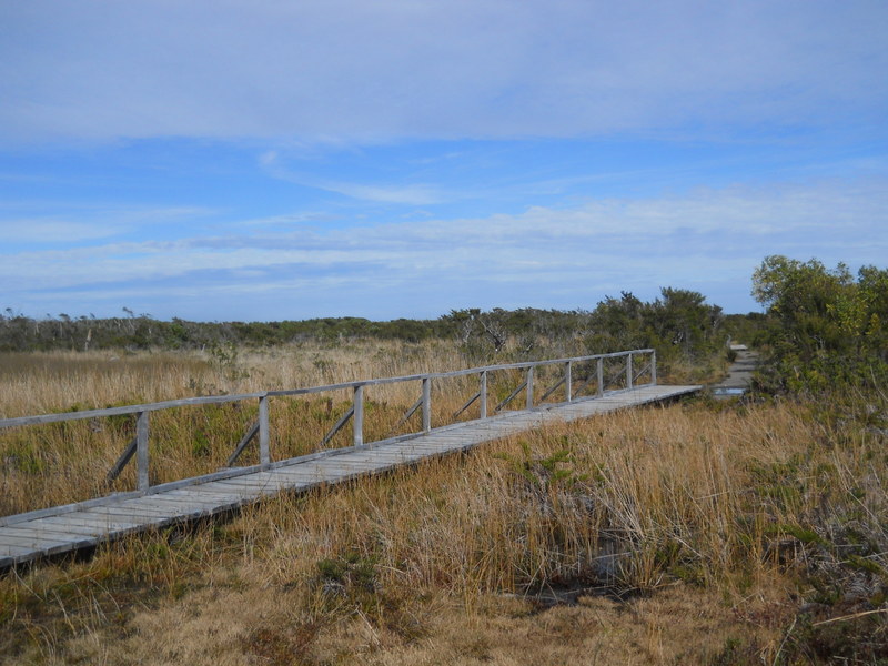 Foto: Parque Nacional Chiloe - Cucao (Los Lagos), Chile