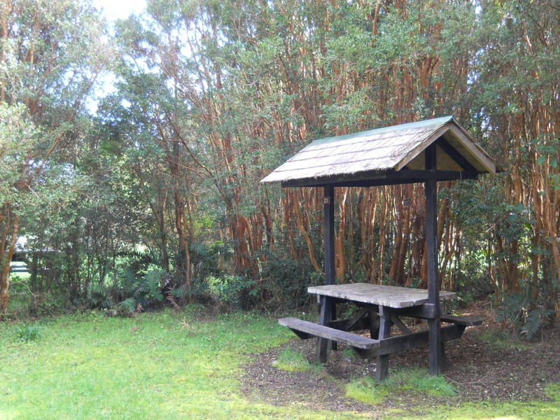 Foto: Parque Nacional Chiloe - Cucao (Los Lagos), Chile