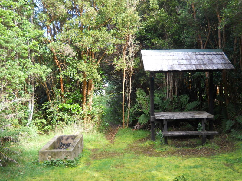 Foto: Parque Nacional Chiloe - Cucao (Los Lagos), Chile