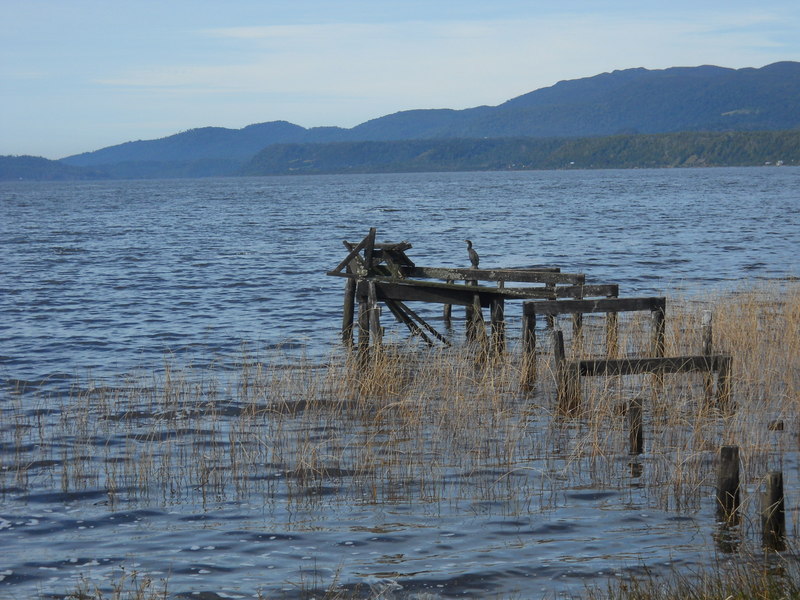 Foto: Parque Nacional Chiloe - Cucao (Los Lagos), Chile