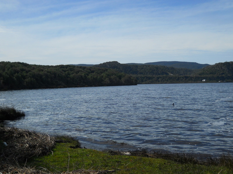 Foto: Parque Nacional Chiloe - Cucao (Los Lagos), Chile