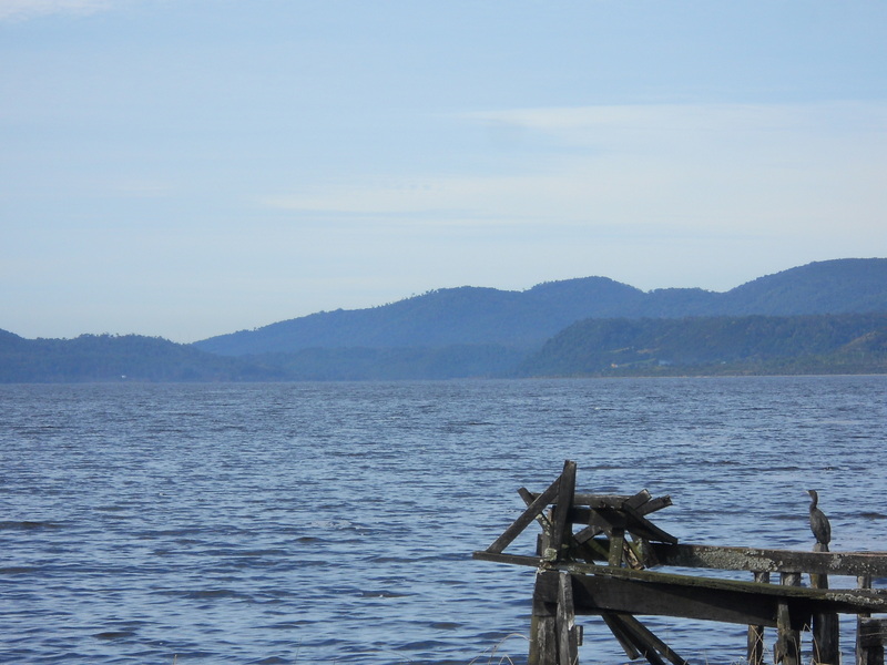 Foto: Parque Nacional Chiloe - Cucao (Los Lagos), Chile