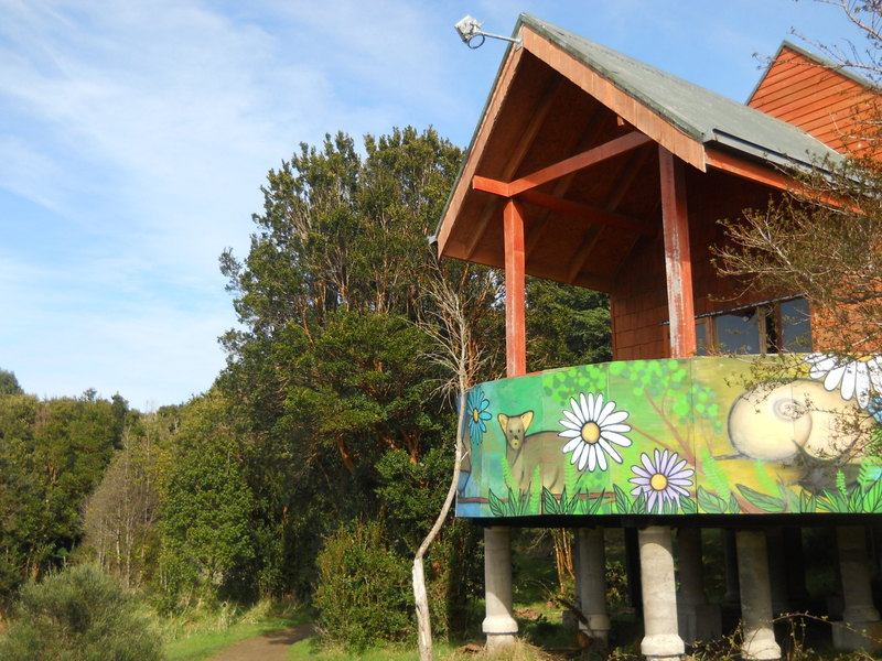 Foto: Parque Nacional Chiloe - Cucao (Los Lagos), Chile