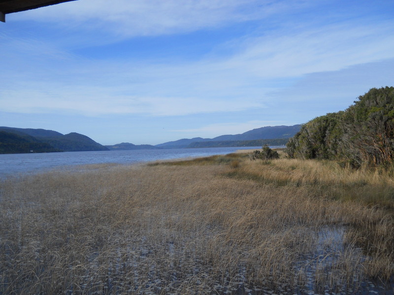 Foto: Parque Nacional Chiloe - Cucao (Los Lagos), Chile