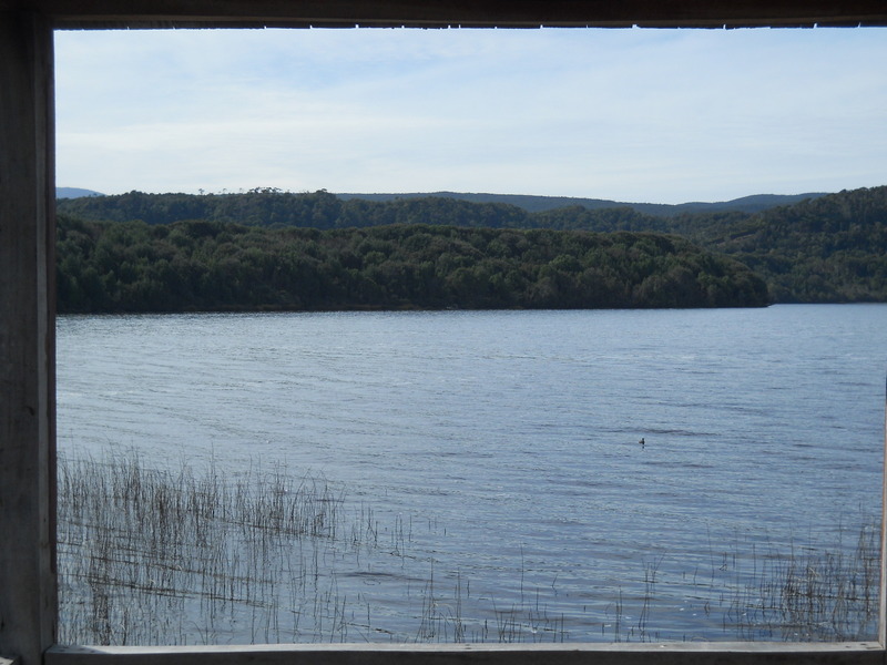 Foto: Parque Nacional Chiloe - Cucao (Los Lagos), Chile