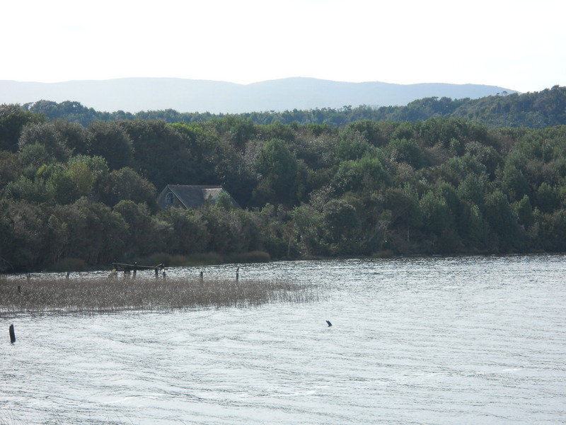 Foto: Parque Nacional Chiloe - Cucao (Los Lagos), Chile