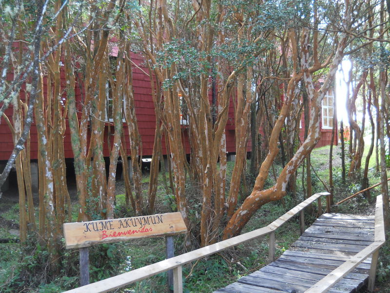 Foto: Parque Nacional Chiloe - Cucao (Los Lagos), Chile