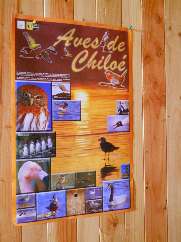 Foto: Parque Nacional Chiloe - Cucao (Los Lagos), Chile