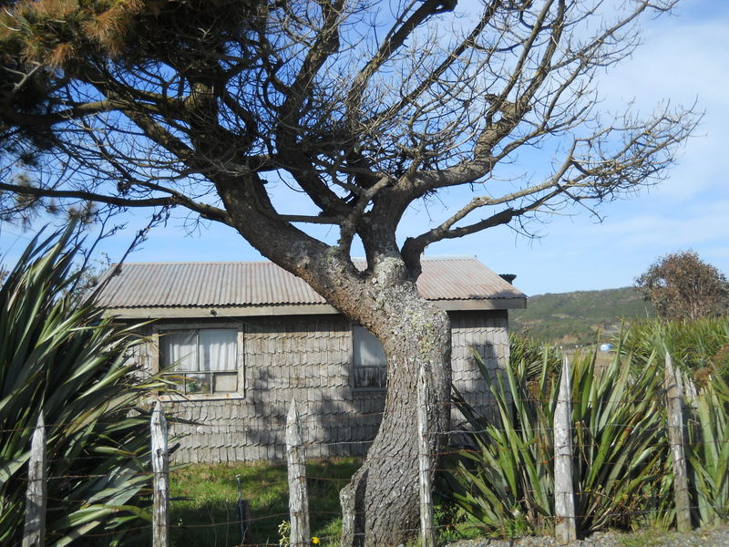 Foto: Cucao - Cucao (Los Lagos), Chile