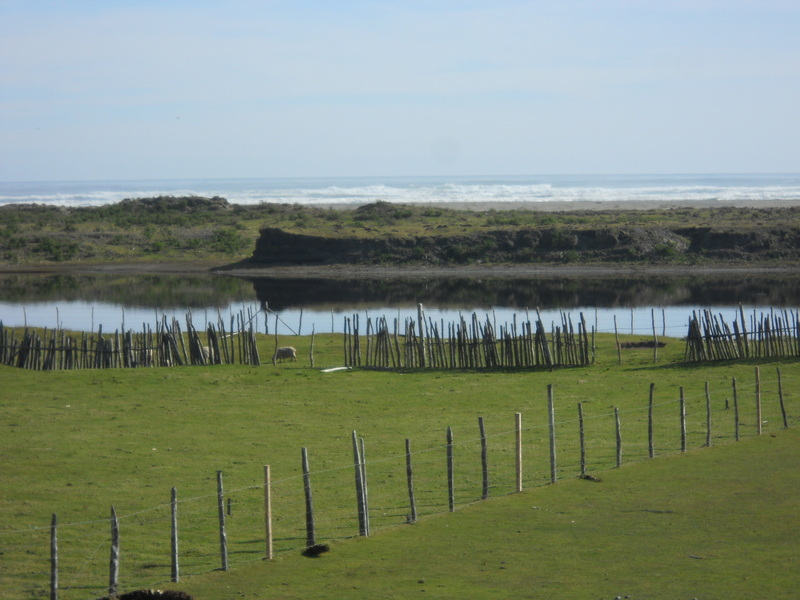 Foto: Cucao - Cucao (Los Lagos), Chile