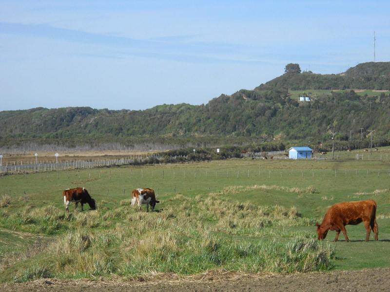 Foto: Cucao - Cucao (Los Lagos), Chile