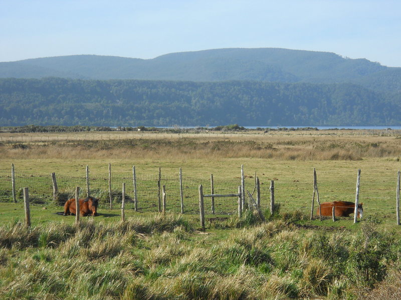 Foto: Cucao - Cucao (Los Lagos), Chile