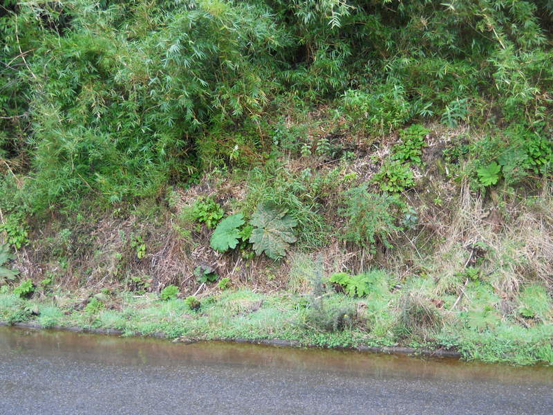 Foto: quinchao - Quinchao (Los Lagos), Chile