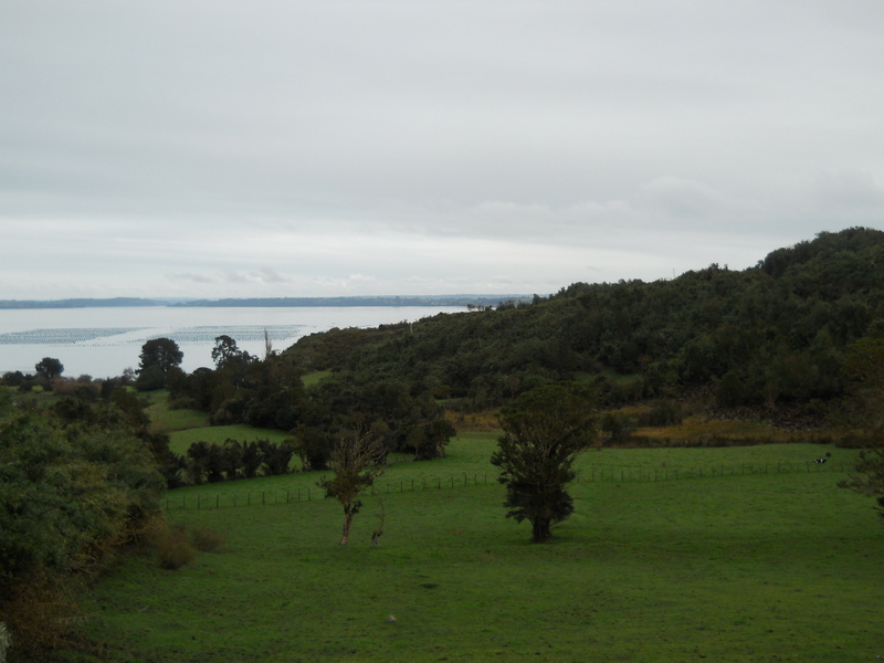 Foto: Quinchao - Quinchao (Los Lagos), Chile