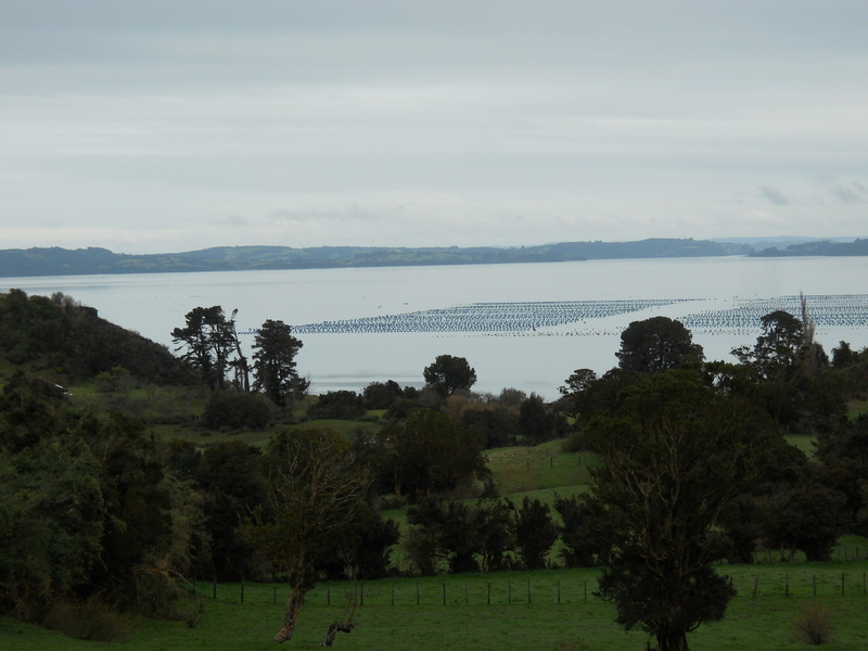 Foto: Quinchao - Quinchao (Los Lagos), Chile