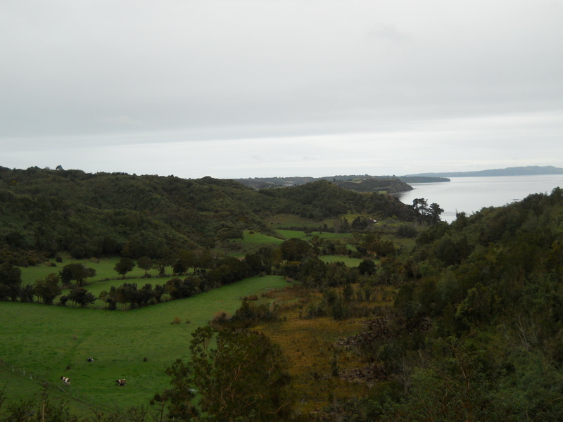 Foto: Quinchao - Quinchao (Los Lagos), Chile