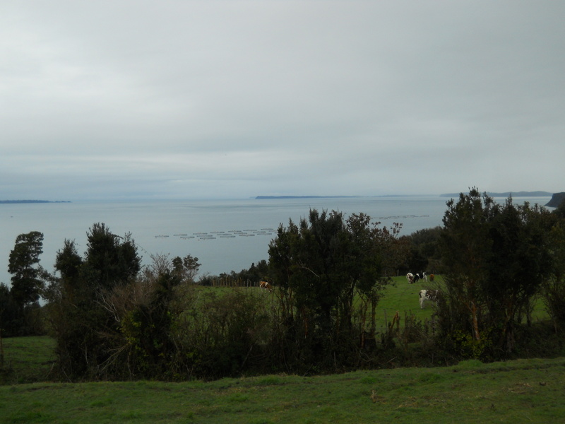 Foto: Quinchao - Quinchao (Los Lagos), Chile