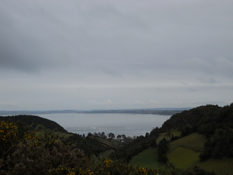 Foto: Quinchao - Quinchao (Los Lagos), Chile