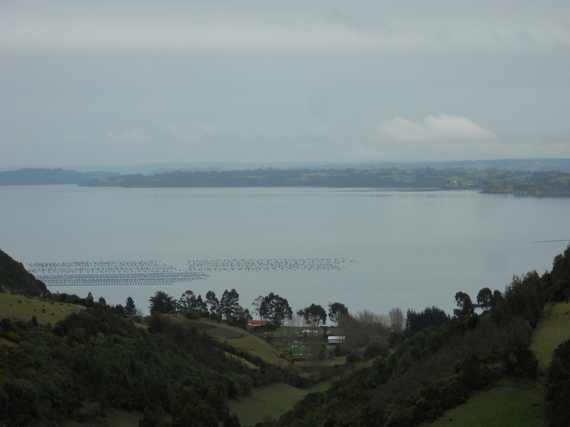 Foto: Quinchao - Quinchao (Los Lagos), Chile